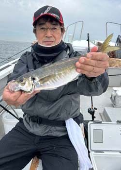 釣果 | 安い！大阪湾の釣り船・チャーター船釣人家｜釣り船・大阪湾